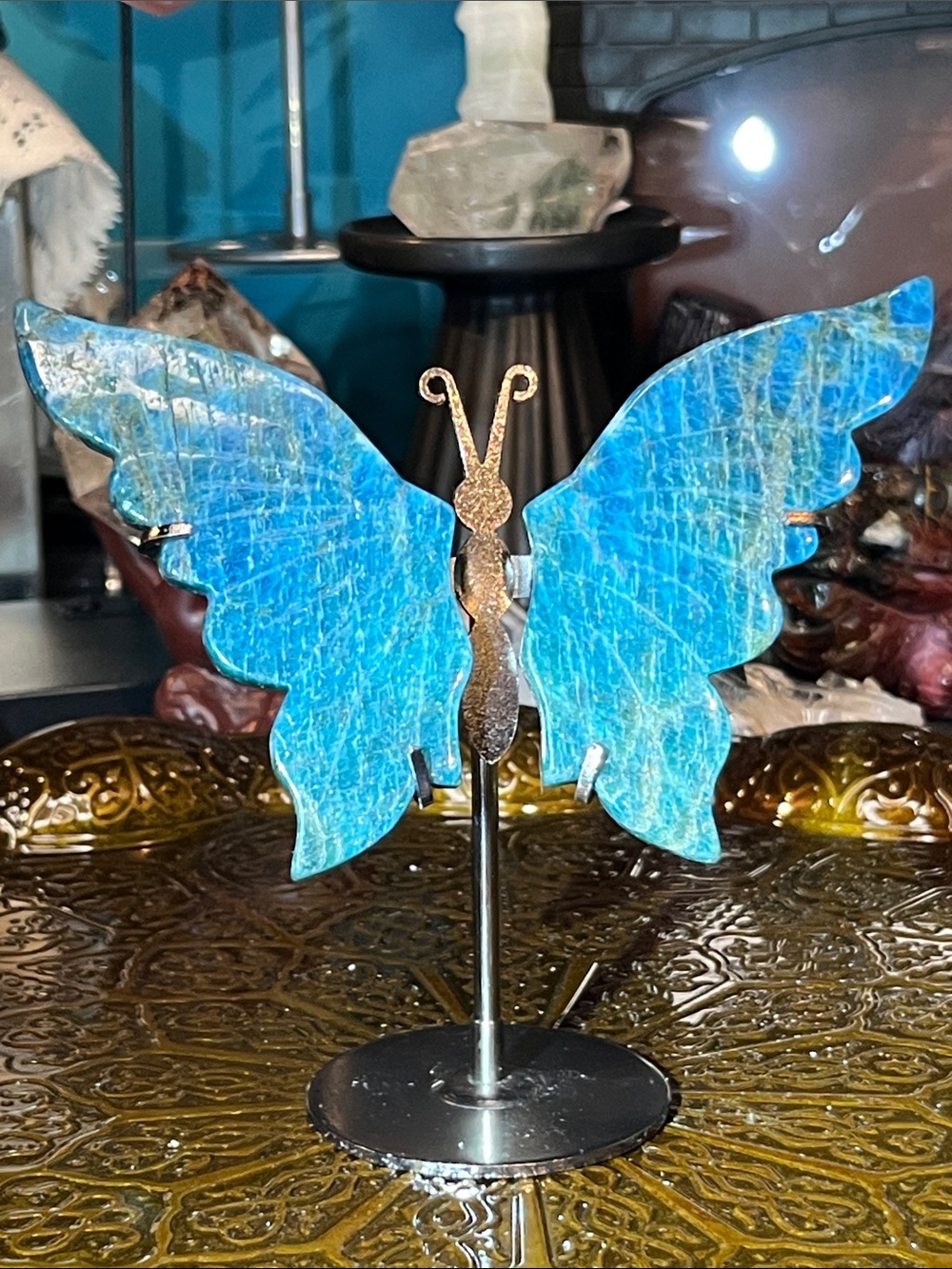 Blue appetite butterfly